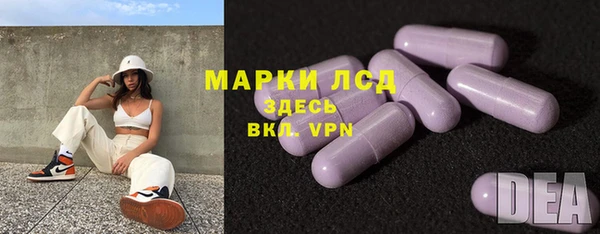 spice Аркадак
