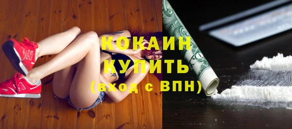 spice Аркадак
