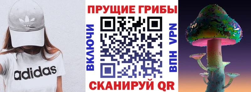 OMG рабочий сайт  это Telegram  Галлюциногенные грибы Cubensis  Карабаш 